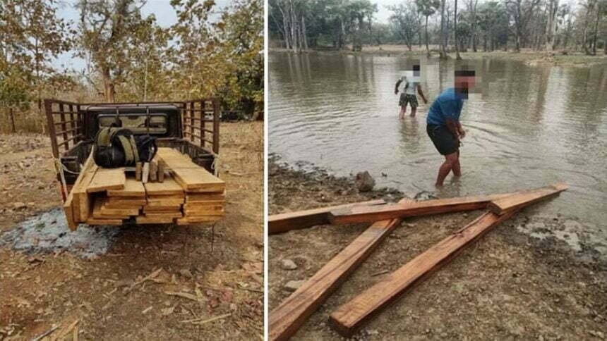 वन विभाग की छापामार कार्रवाई: 25 लाख की सागौन जब्त, पानी में छिपा कर रहे थे लकड़ी की तस्करी