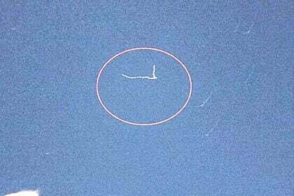 400 किलोमीटर ऊपर अंतरिक्ष में टमाटर उगा रहे वैज्ञानिक, 7 से 15 मार्च तक दिखेगा स्पेश स्टेशन