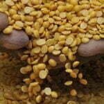 अरहल दाल की कालाबाजारी करने वालों सावधान, सरकार की कारोबारियों पर सख्ती की तैयारी