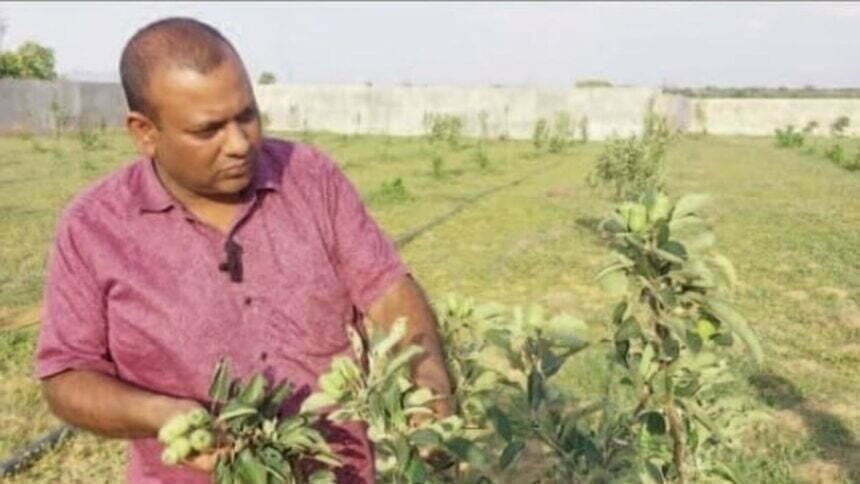 छत्तीसगढ़ के युवा किसान कर रहे हैं खेती में नवाचार, 100 से ज्यादा पौधे,1 साल में ही कई पौधों में फल आने हुए शुरू