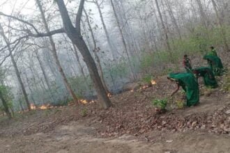 जंगल को आग की लपटों से बचाने महिलाओं ने पेश की मिसाल, स्वयं आगे आकर वनकर्मियों के साथ निभा रही अपनी भागीदारी