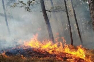 बढ़ते तापमान के साथ सुलगने लगे जंगल, एक ही दिन में 18 स्थानों पर लगी आग