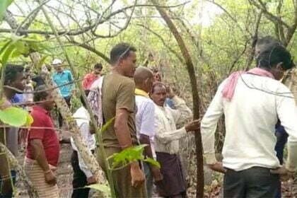 भोला पठार के जंगल में मिला नरकंकाल, मौके से बैग और एडमिट कार्ड मिला, जांच में जुटी पुलिस