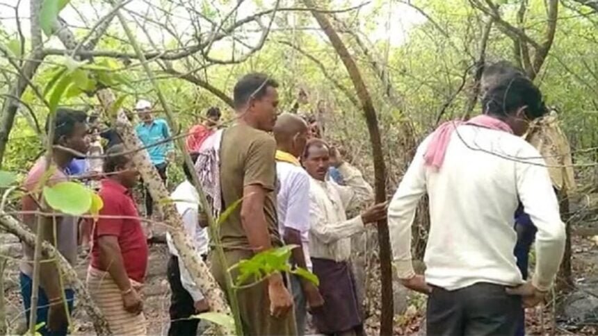 भोला पठार के जंगल में मिला नरकंकाल, मौके से बैग और एडमिट कार्ड मिला, जांच में जुटी पुलिस