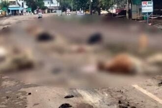 दर्दनाक घटना: तेज रफ्तार हाइवा ने ली 11 बेजुबानों की जान, सड़क पर बिछ गई लाशें