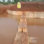 बेलझोरी नाला में बने चेक डैम से हो रहा 30 हेक्टेयर क्षेत्र में सिंचाई , 50 से 60 किसानों को मिलने लगा खेतों के लिए पानी