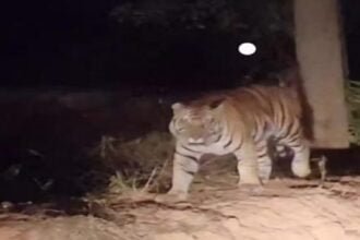 1500 करोड़ रुपये की लागत से यहां बनेगी देश की पहली नाइट सफारी, चिडिय़ा घर का भी होगा निर्माण