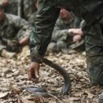 बीजापुर में माओवादियों और सुरक्षाबलों के बीच मुठभेड़, कोबरा कमांडो के दो जवान घायल