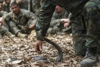 बीजापुर में माओवादियों और सुरक्षाबलों के बीच मुठभेड़, कोबरा कमांडो के दो जवान घायल