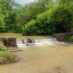 नरवा विकास कार्यों से वनांचल क्षेत्र के लोगों को मिल रहा लाभ, वन्यप्राणियों के लिए उपयोगी साबित हो रहे