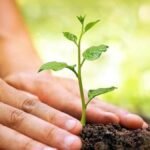 निगम ने की विश्व पर्यावरण दिवस पर 'आओ लगाए एक पौधा' कार्यक्रम में लोगो से अपनी भागीदारी निभाने की अपील