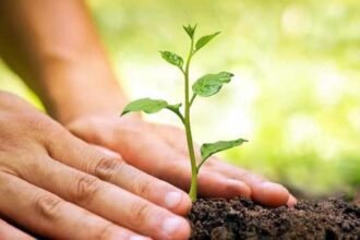 निगम ने की विश्व पर्यावरण दिवस पर 'आओ लगाए एक पौधा' कार्यक्रम में लोगो से अपनी भागीदारी निभाने की अपील