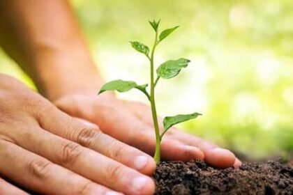 निगम ने की विश्व पर्यावरण दिवस पर 'आओ लगाए एक पौधा' कार्यक्रम में लोगो से अपनी भागीदारी निभाने की अपील