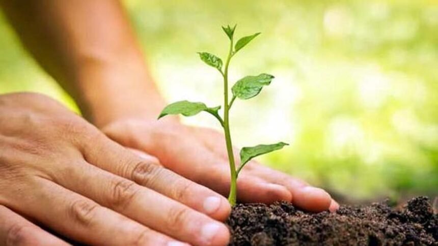 निगम ने की विश्व पर्यावरण दिवस पर 'आओ लगाए एक पौधा' कार्यक्रम में लोगो से अपनी भागीदारी निभाने की अपील