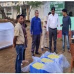 छत्तीसगढ़ के महुआ की महक पहुंचने लगी देश-विदेश तक, मिल रहा अतिरिक्त मुनाफा और रोजगार