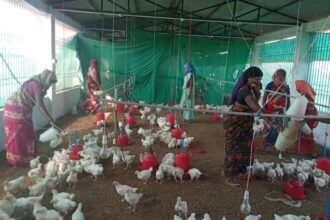 ग्रामीण महिलाएं स्व-सहायता समूह से जुड़कर आर्थिक रूप से हो रही हैं सशक्त