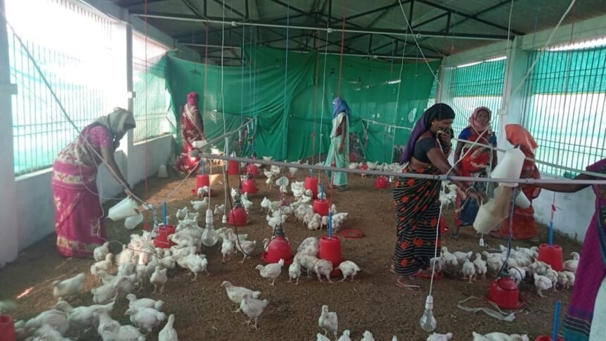ग्रामीण महिलाएं स्व-सहायता समूह से जुड़कर आर्थिक रूप से हो रही हैं सशक्त