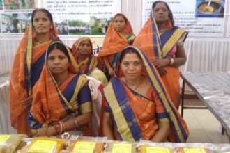 शासन की योजनाओं से जुड़कर आर्थिक स्वालंबन की ओर महिला समूहों के बढ़ते कदम
