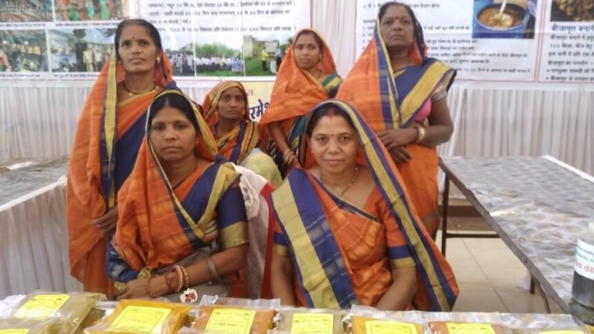 शासन की योजनाओं से जुड़कर आर्थिक स्वालंबन की ओर महिला समूहों के बढ़ते कदम