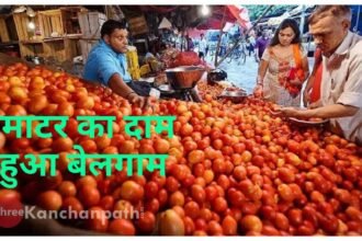 रसोई का बढ़ा बोझ: टमाटर का दाम, हुआ बेलगाम, कीमत बढ़ने की यह है वजह!