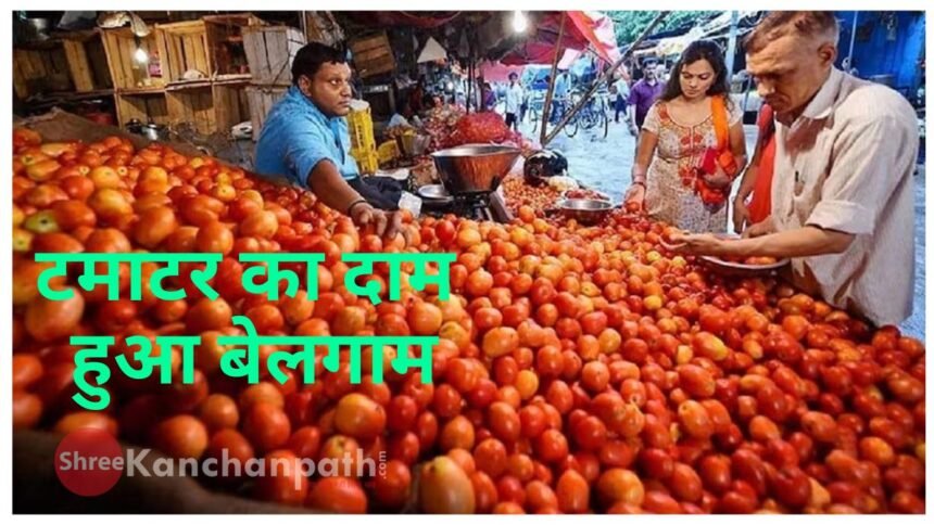 रसोई का बढ़ा बोझ: टमाटर का दाम, हुआ बेलगाम, कीमत बढ़ने की यह है वजह!