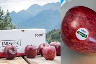 अदाणी एग्री फ्रेश लिमिटेड करेगी सेब की खरीदी, 25000 मीट्रिक टन सेब खरीदने का लक्ष्य