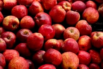 सेब पर सियासत: सेब किसानों पर अदाणी के खिलाफ बोल फंसी प्रियंका गांधी वाड्रा