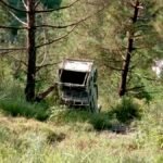 Accident: 15-16 बच्चों को लेकर स्कूल जा रही यूटिलिटी वाहन खाई में गिरी, चीख-पुकार मचते ही बचाने के लिए दौड़े लोग