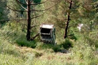 Accident: 15-16 बच्चों को लेकर स्कूल जा रही यूटिलिटी वाहन खाई में गिरी, चीख-पुकार मचते ही बचाने के लिए दौड़े लोग