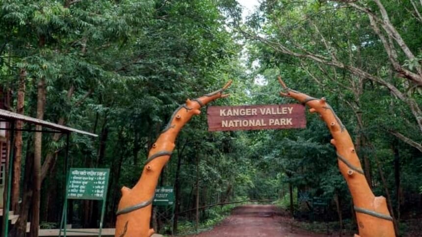 हरी-भरी वादियों के बीच प्राकृतिक खूबसूरती को समेटा कांगेर घाटी राष्ट्रीय उद्यान