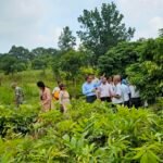 छत्तीसगढ़ के 'नरवा विकास' को झारखण्ड की मनरेगा टीम ने सराहा