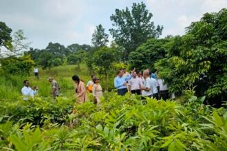 छत्तीसगढ़ के 'नरवा विकास' को झारखण्ड की मनरेगा टीम ने सराहा