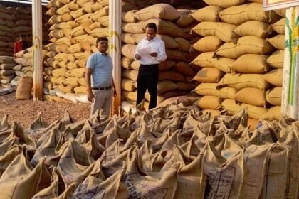 1 से 21 नवंबर तक धान खरीदी की रफ्तार रही धीमी, कर्जमाफी की उम्मीद बनी वजह