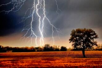 बेमौसम बरसात के दौरान बिजली गिरने से 20 की मौत, 100 मिमी से ज्यादा बारिश, राहत-बचाव कार्य जारी