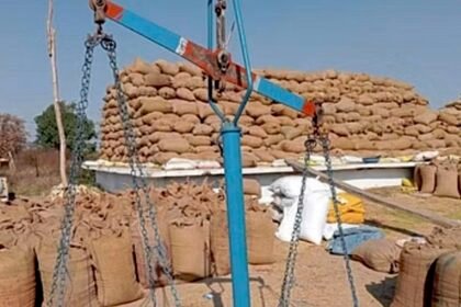 CG News: मोदी की गारंटी पर किसानों का भरोसा, बम्पर खरीदी से टूटा 23 साल का रिकार्ड