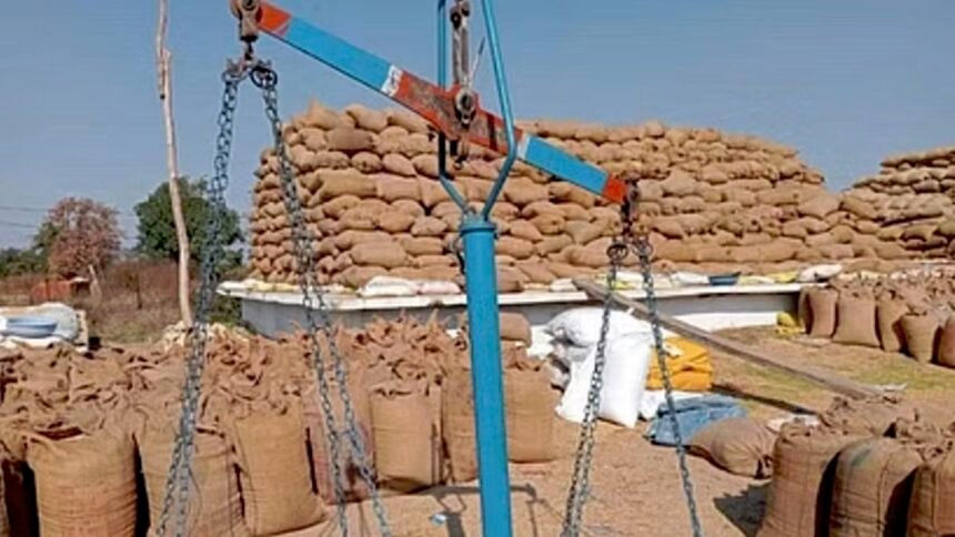 CG News: मोदी की गारंटी पर किसानों का भरोसा, बम्पर खरीदी से टूटा 23 साल का रिकार्ड