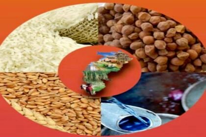 48 लाख 80 हजार राशन कार्डधारियों ने किया नवीनीकरण के लिए ऑनलाइन आवेदन, बालोद जिला पहले स्थान पर