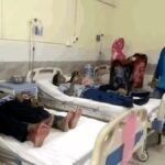 छात्रों पर मधुमक्खियों का हमला, मचा हड़कप; 15 बच्चे अस्पताल में भर्ती