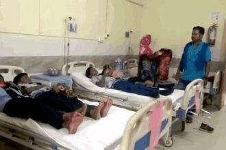 छात्रों पर मधुमक्खियों का हमला, मचा हड़कप; 15 बच्चे अस्पताल में भर्ती