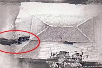 हाथियों का उत्पात: पहले घर में रखा अनाज खाया फिर उजाड़ दिया घर, दहशत में लोग