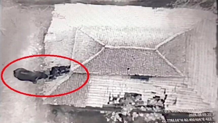 हाथियों का उत्पात: पहले घर में रखा अनाज खाया फिर उजाड़ दिया घर, दहशत में लोग