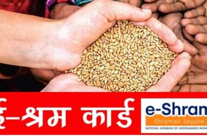 ई-श्रम कार्डधारी पात्रता के अनुसार राशनकार्ड बनवाने के लिए स्थानीय निकाय से करें संपर्क