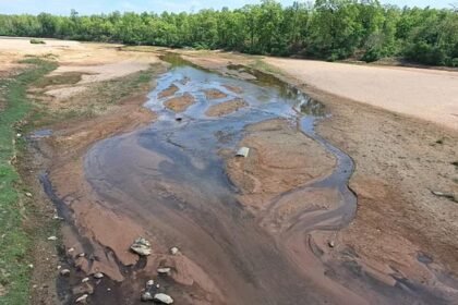 भ्रष्टाचार की भेंट चढ़ी कन्हर नदी, छत्तीसगढ़ और झारखंड के लिए वरदान मानी जाने वाली नदी सूखी