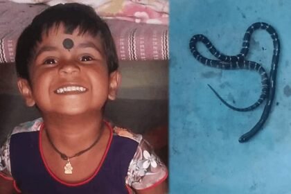 जगदलपुर में सात साल की मासूम को सांप ने काटा, इलाज के अभाव में हुई मौत