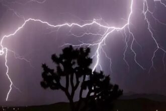 जंगल में गाज गिरने से 26 मवेशियों की मौत, पोलमपल्ली गांव में घटी घटना