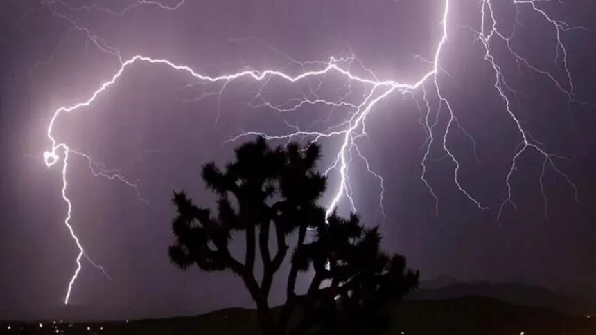 जंगल में गाज गिरने से 26 मवेशियों की मौत, पोलमपल्ली गांव में घटी घटना