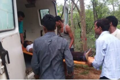 सियादेवी दर्शन को गए दुर्ग के 3 युवकों की हादसे में मौत