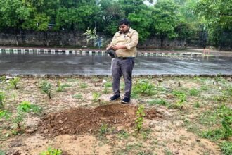 एक पेड़ माँ के नाम अभियान: जनसम्पर्क विभाग ने दिल्ली में किया वृक्षारोपण