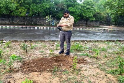 एक पेड़ माँ के नाम अभियान: जनसम्पर्क विभाग ने दिल्ली में किया वृक्षारोपण