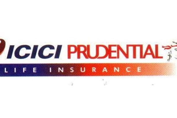 आईसीआईसीआई प्रूडेंशियल लाइफ स्मॉलकैप 250 इंडेक्स फंड: भारत की उभरती कंपनियों में निवेश के साथ संपत्ति सृजन का अनूठा अवसर